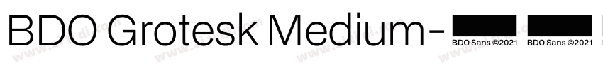 BDO Grotesk Medium字体转换